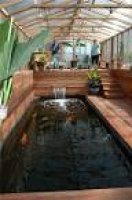 ... Home Indoor Koi Fish Pond ...