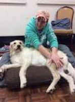 Canine Massage Therapy Centre - Home | Facebook