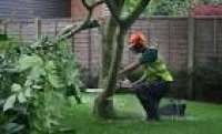 Tree Surgery & Pruning - Oxford, High Wycombe & Aylesbury