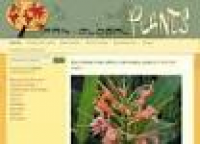 Pan Global Plants