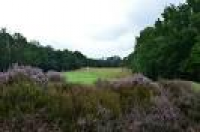 The Addington.13th hole - Picture of The Addington Golf Club ...