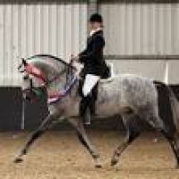 Pine Lodge School of Classical Equitation - 10 Photos - Stables ...