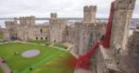 Caernarfon Castle's poppies ...