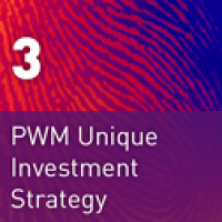 3 PWM Unique Investment