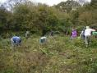Isle of Wight Green Gym - Official Blog.: December 2009