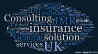 our insurance solution and