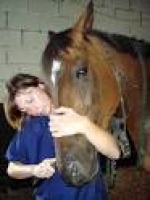 Equine (Horse) Dentist