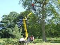 Commercial Tree Surgery ...
