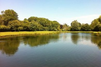 Sutton Springs Trout Fishery