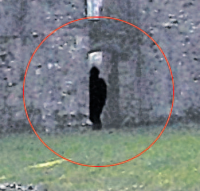 a ghost at Netley Abbey?
