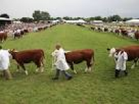 Discover British farming and