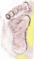 Feet - the foundation