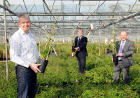 Plant business grows with bank