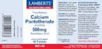 Buy Lamberts Health Care Calcium Pantothenate 500mg from Lamberts