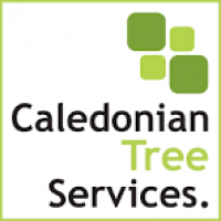 Caledonian Tree Services - Home | Facebook