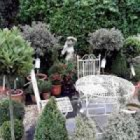 The Secret Garden Centre | Things to Do in Kent