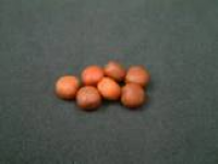 Photo of Cathedral Baits &