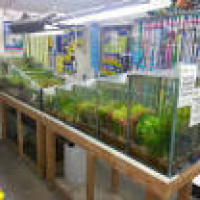 Aquarium & Pond Supplies in Canterbury | Reviews - Yell