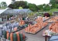 Garden centres in Kent - opening times & offers