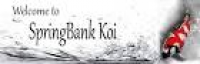 ... New Springbank Koi website