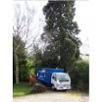 Tree Surgeons in Narborough, Leicester | Get a Quote - Yell