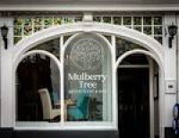 25+ Best Ideas about Mulberry Tree on Pinterest | Chokecherry tree ...