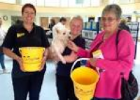 Michelle Farlow is fundraising for Dogs Trust