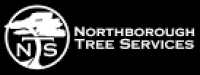 Quality tree services | Northborough Tree Services