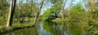 Langdale_Lakes_Carp_&_Coarse_Fishing_Lakes_Lincoln_Lincolnshire