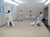 Budokan Ju-Jitsu Club - Martial Arts Club in Hale Village ...