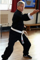 Karate (Korean Taekwondo)