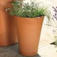 Long Tom Terracotta Pots - Harrod Horticultural (UK)