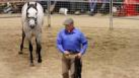 Horse whisperer who works with the Queen to visit Norfolk college ...