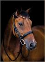 Stubben Freedom Bridle | Forelock and Load
