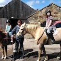 getting ready for riding, Town Foot Farm - Picture of Village Farm ...