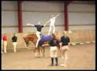 Grove House Stables Vaulting