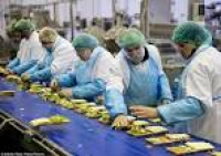 Greencore factory's migrant workers churn out THREE MILLION ...