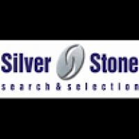 Silver Stone Search