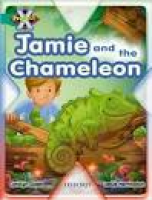 Chameleon: Amazon.co.uk: