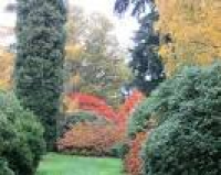 ... Oxford Harcourt Arboretum: ...