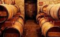 Tuscan Wine & City Experience