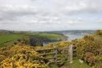 Walk The Pembrokeshire Coast