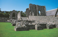 ST DOGMAELS ABBEY and Visitor