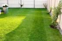 GreenThumb (Lincoln) - Your Local Lawn Care Specialists