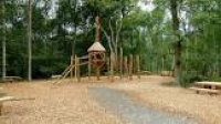 Grounds near Fineshade Abbey - Picture of Top Lodge Fineshade Wood ...