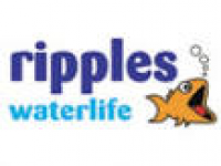 Ripples Waterlife