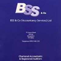 B S S & Co Accountancy ...