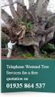 Westend Tree Services in