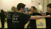 Lau Gar Kung Fu and Kickboxing