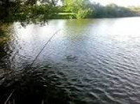 Willow Fishing lake well ...